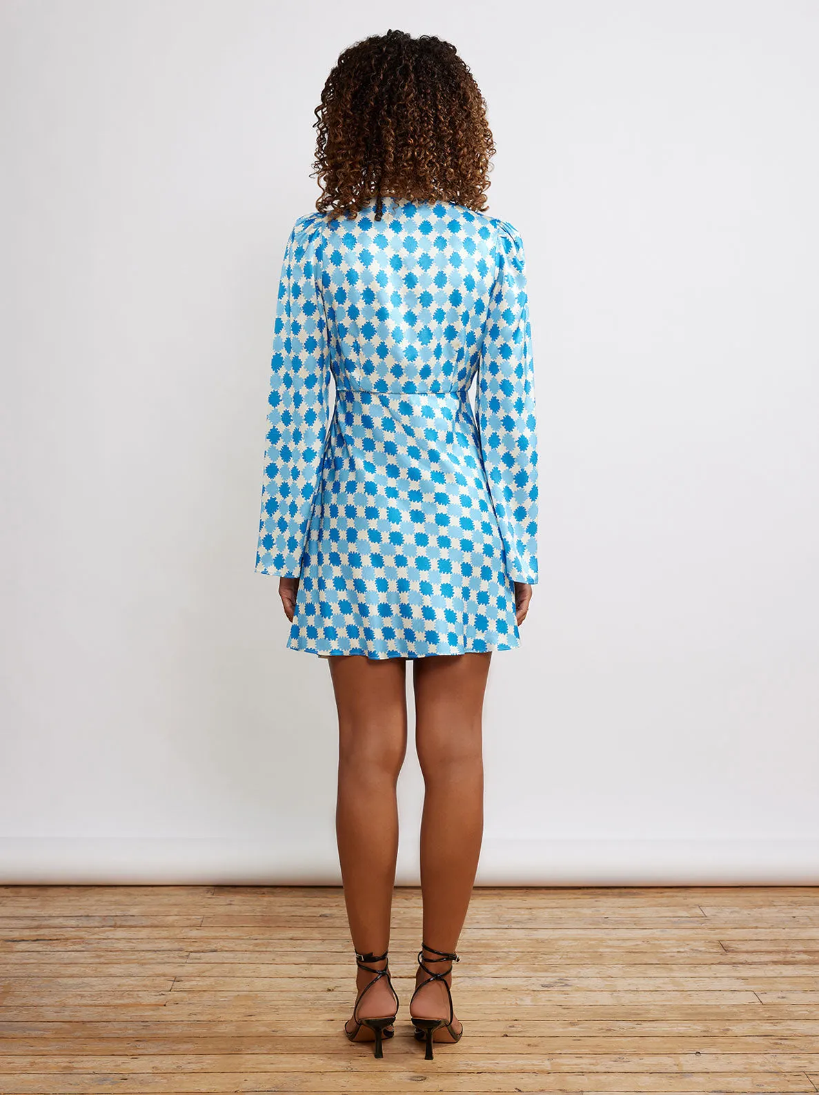 Rosalie Blue Picnic Check Mini Dress