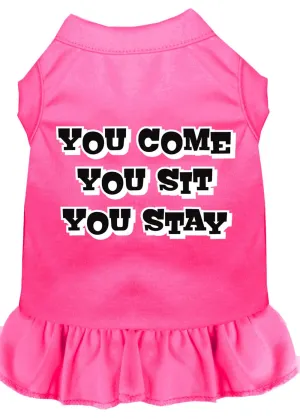 You Come, You Sit, You Stay Screen Print Dress Bright Pink Sm (10)